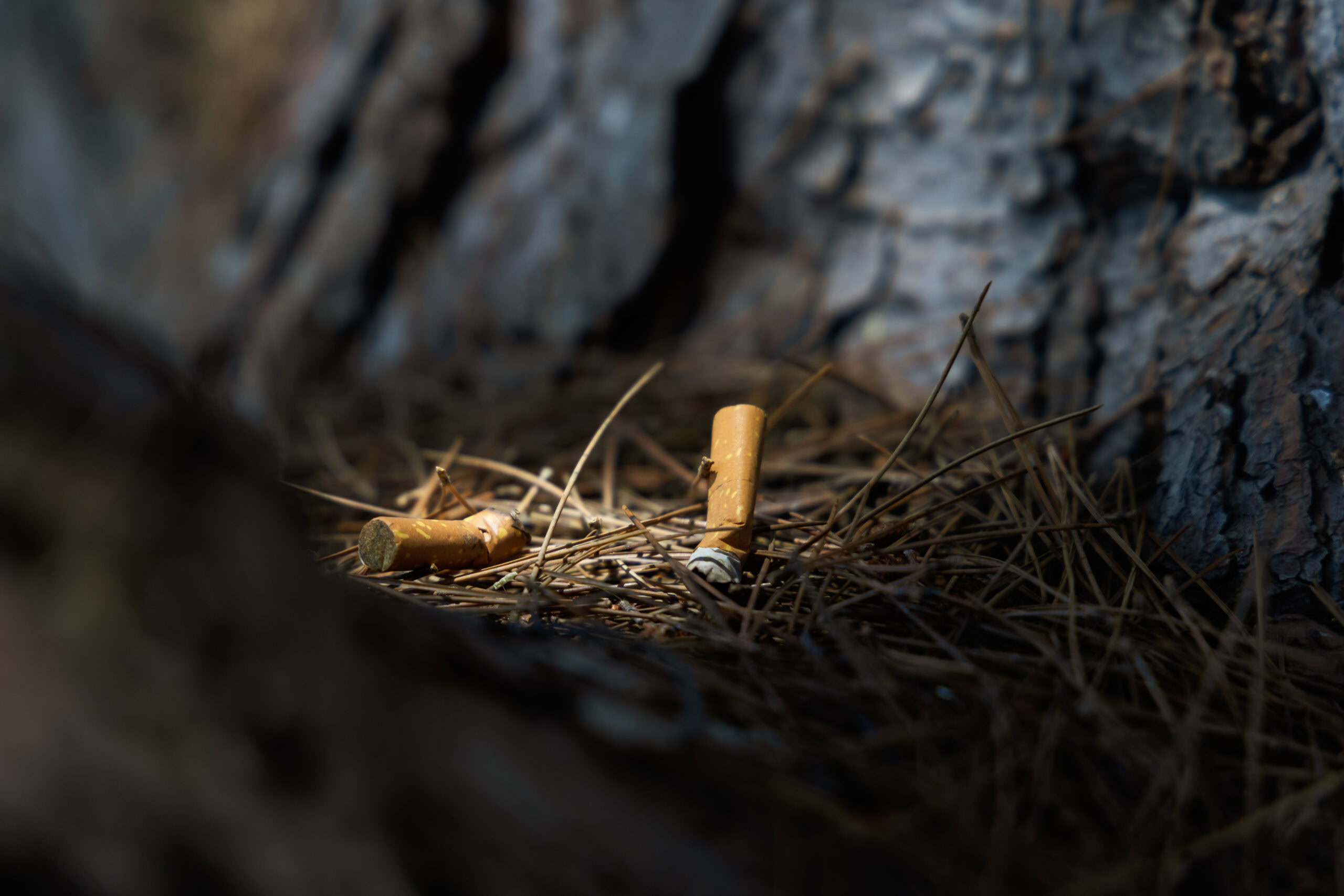 Cigarette butts in nature